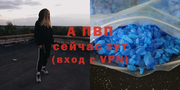 сатива Кинешма