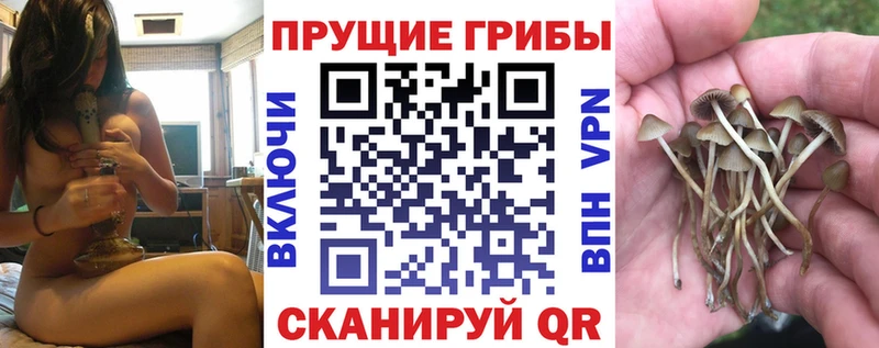 Псилоцибиновые грибы GOLDEN TEACHER  Выкса 