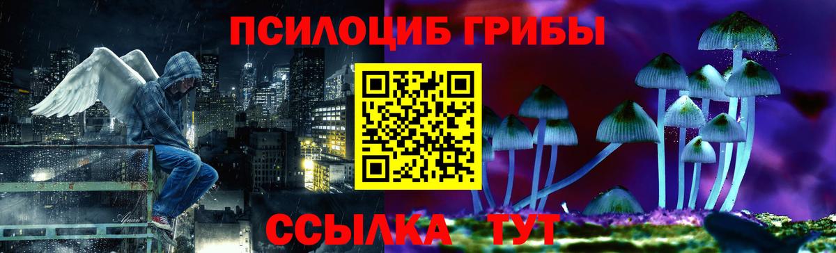 Выкса  Галлюциногенные грибы GOLDEN TEACHER  Галлюциногенные грибы MAGIC MUSHROOMS  купить закладку  Вход с VPN 